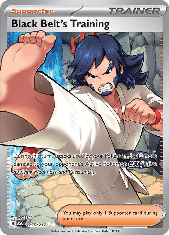 Black Belt's Training (255/217) [Mega Evolution: Ascended Heroes] 1