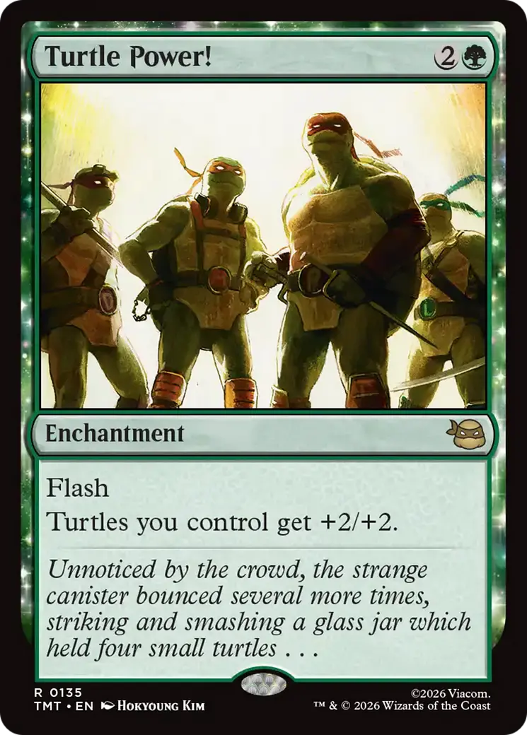 Turtle Power! [Teenage Mutant Ninja Turtles] 1