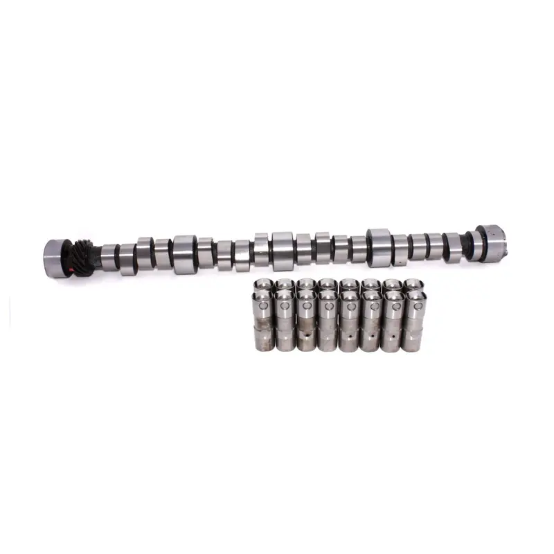 Lunati Street/Strip Hydraulic Roller Camshaft Kit – Gen Vi Bbc, 250/255 Duration (Part #20010573Lk) 1